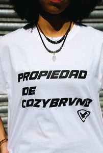 PROPIEDAD TEE