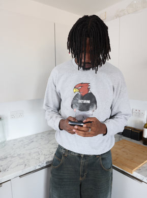 COZY EAGLE SWEATSHIRT