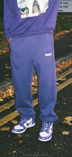 HEAVY BLEND PURPLE PANTS