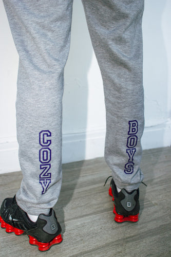 COZYBOYS GREY HOODIE